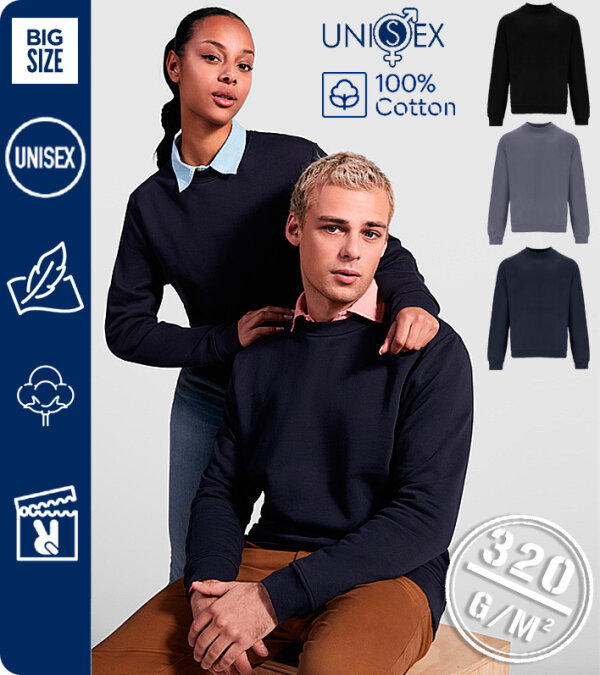 SUDADERA CLÁSICA UNISEX  100% ALGODÓN 320Grms. ROLY TELENO 1117