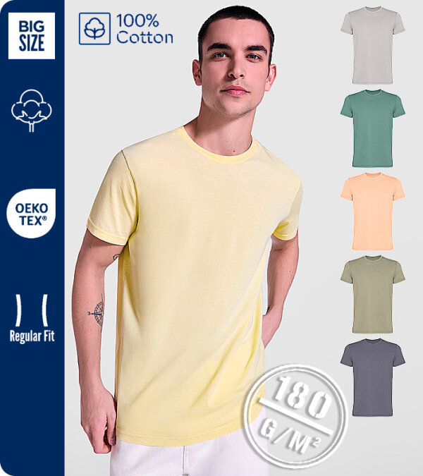 CAMISETA HOMBRE 100% ALGODÓN CON ACABADO LAVADO ÁCIDO 180 Grms. ROLY CORGI CA2200